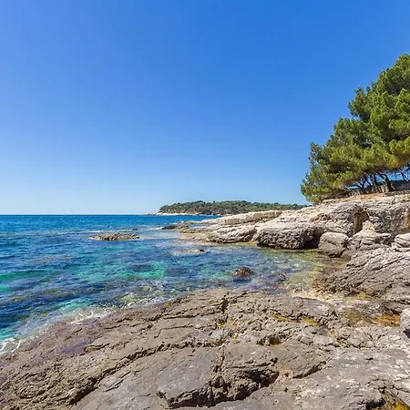 Bursic Apartamento *