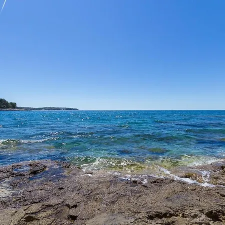 Bursic Apartamento *